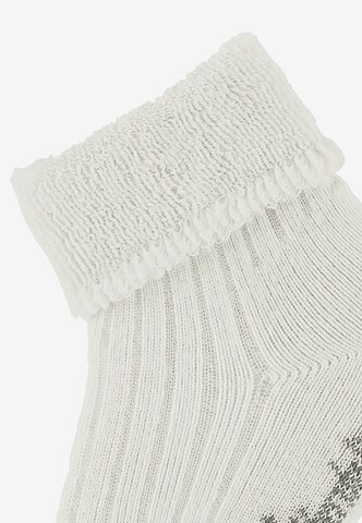 STERNTALER Socks in Beige