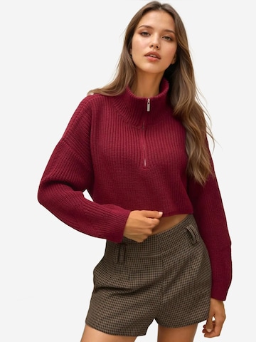 Pullover di Hiccup in rosso: frontale