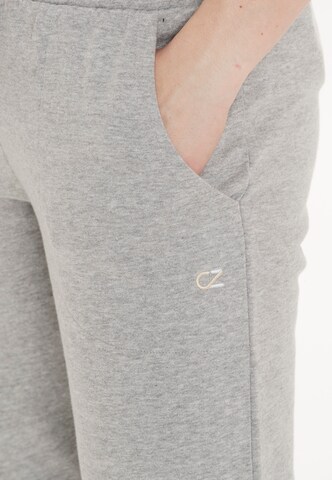 Cruz Tapered Trousers 'Mayda' in Grey