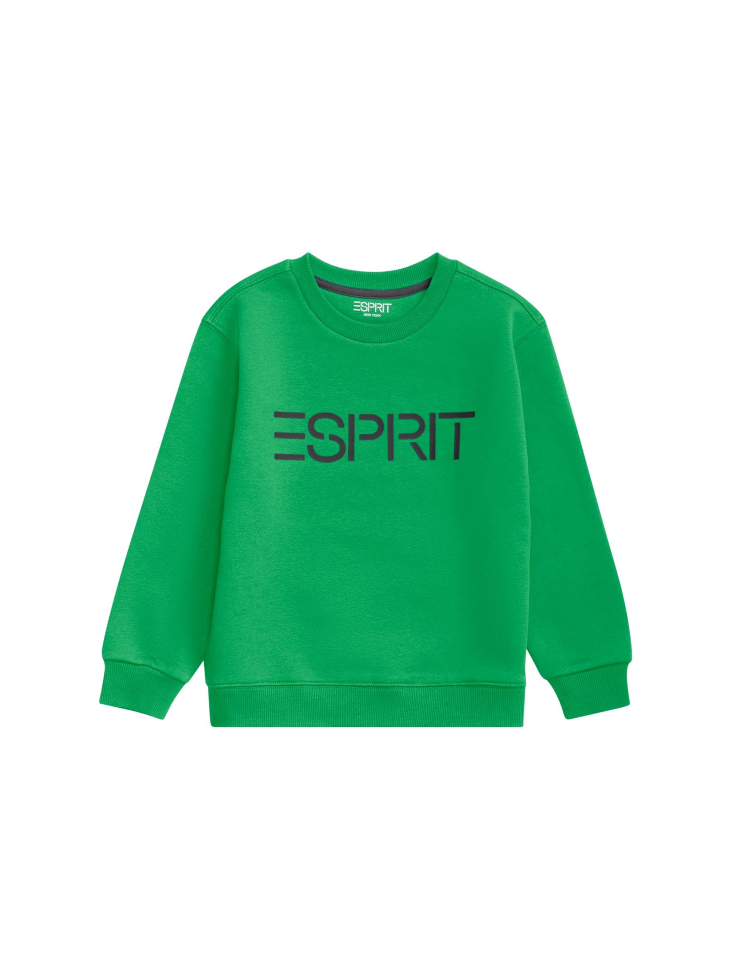 Sweat ESPRIT en Vert | ABOUT YOU