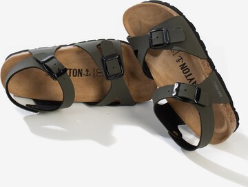 Bayton Sandal 'Pegase' i grön