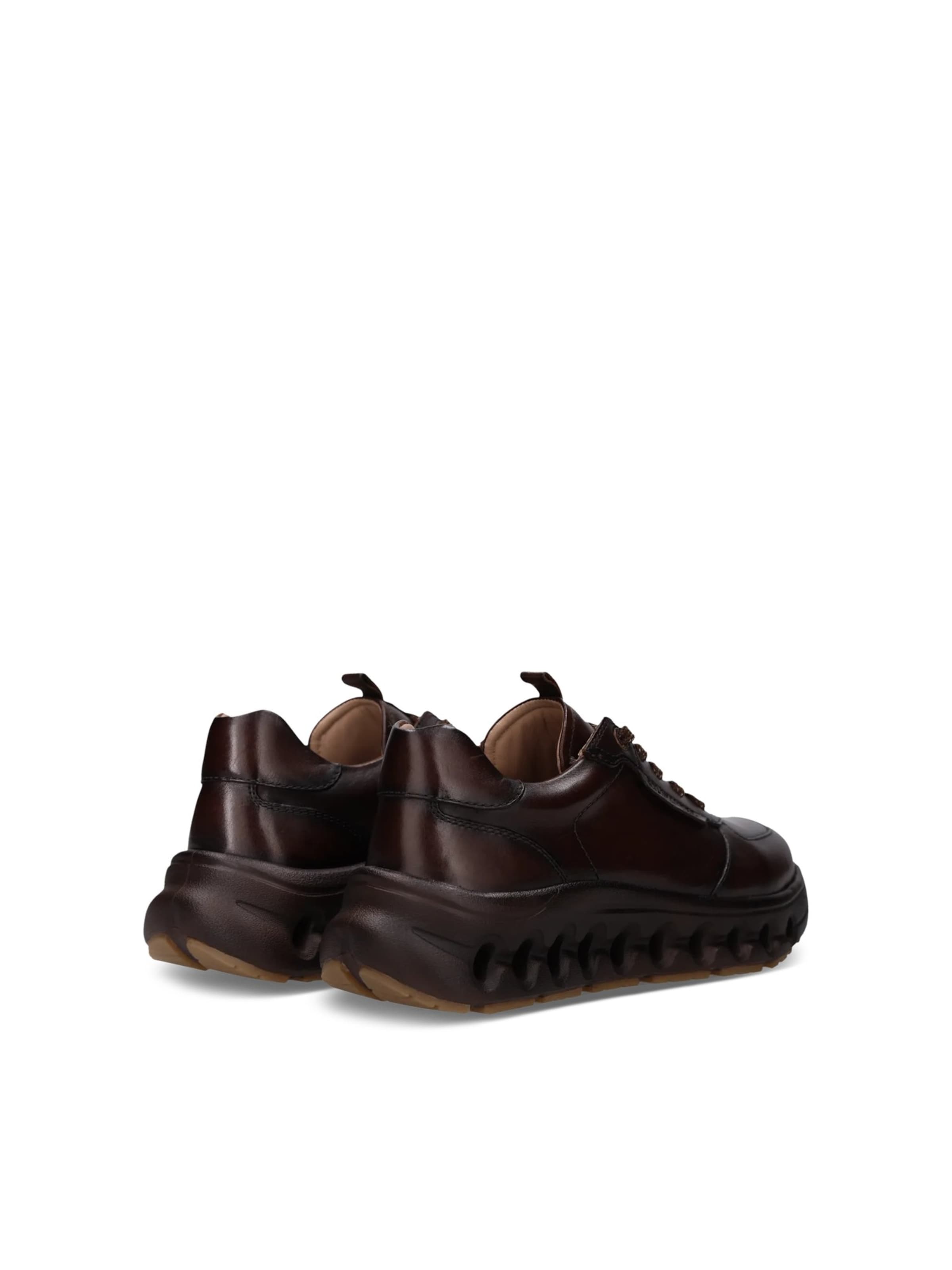 Baskets basses SALAMANDER en marron