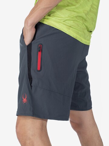 Spyder Regular Shorts in Grau