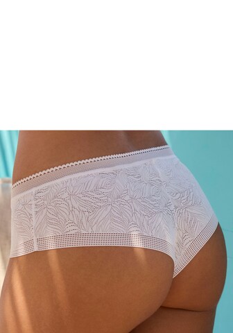 LASCANA Boyshorts in White