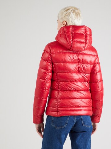 Veste d’hiver Blauer.USA en rouge