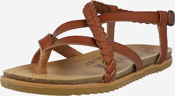 Blowfish Malibu T-Bar Sandals 'Mallorca' in Brown: front