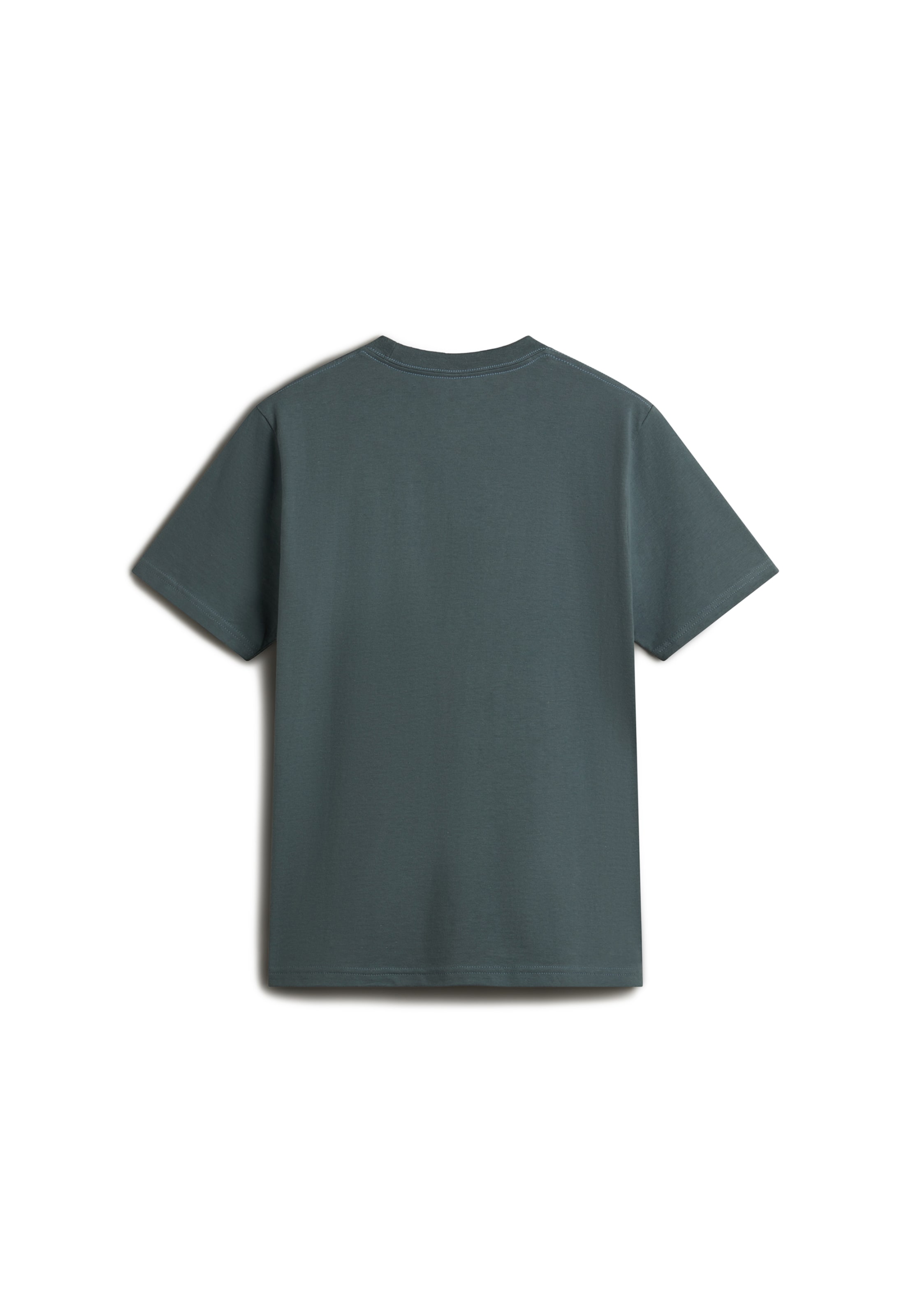 VANS Shirt 'Cactus Wire' in Grey