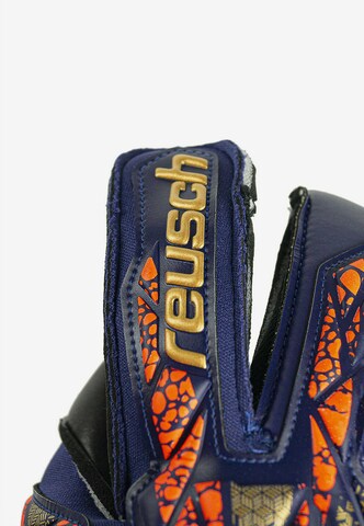 REUSCH Athletic Gloves 'Attrakt Gold X Evolution' in Blue