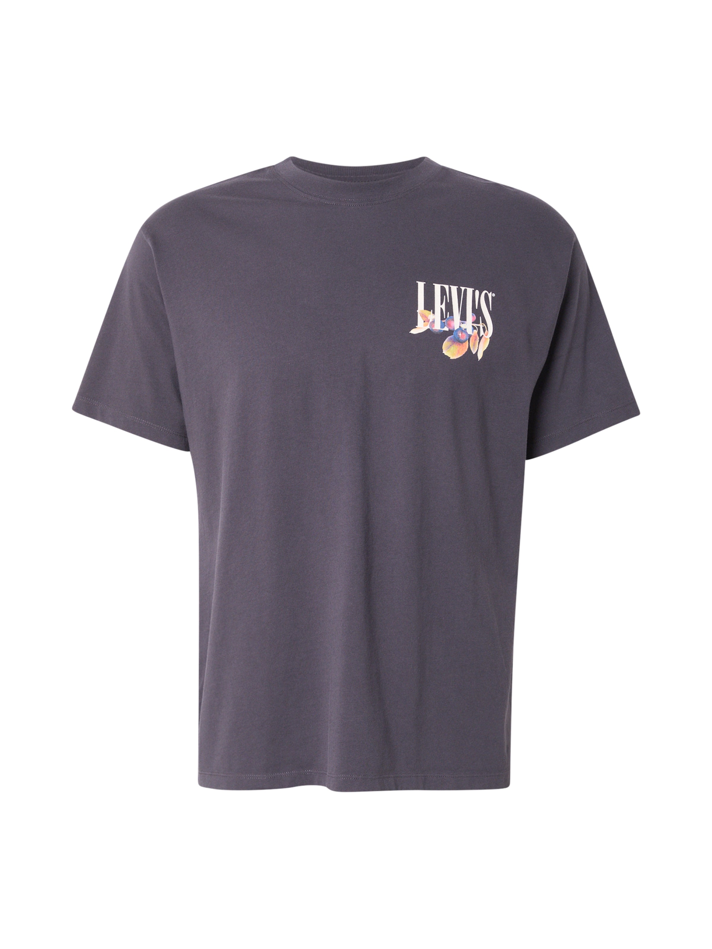 LEVI'S ® Shirt 'Vintage Fit Graphic Tee' in Black: front