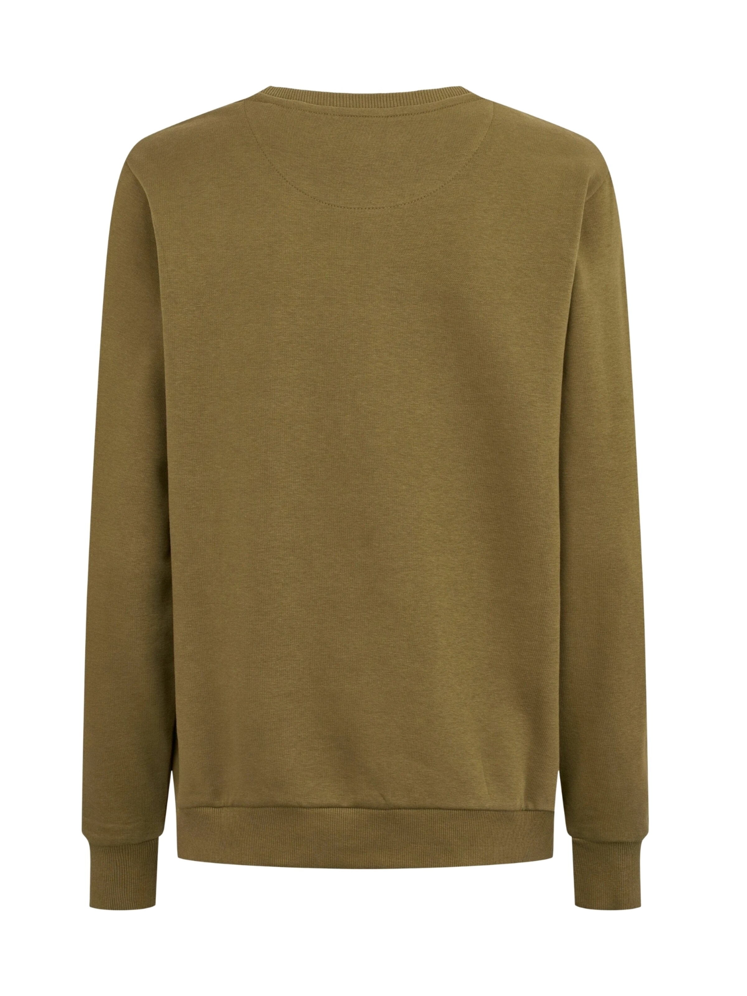 U.S. POLO ASSN. Sweatshirt ' Helen ' i grøn