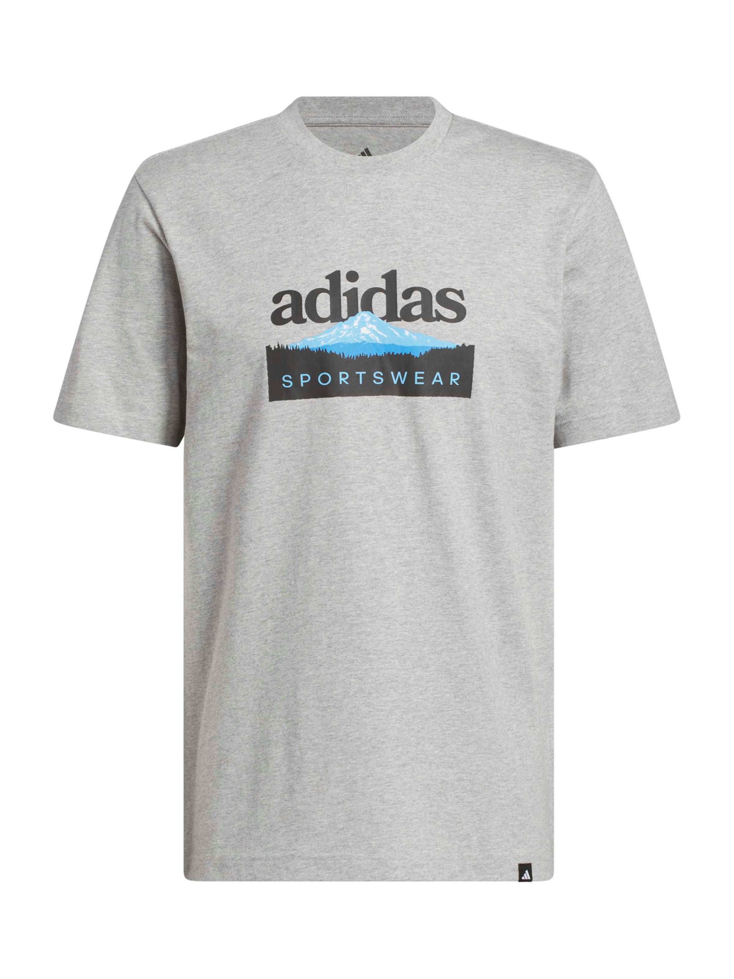 ADIDAS SPORTSWEAR Koszulka funkcyjna 'SPRTMN MTN' w kolorze szary: przód