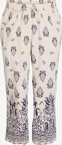 Zizziregular Hlače 'EMILU' - bež boja: prednji dio