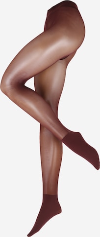 Collants 'Sneaker Tight' FALKE en rouge : devant