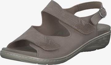 ACO Sandals 'Wally ' in Grey: front