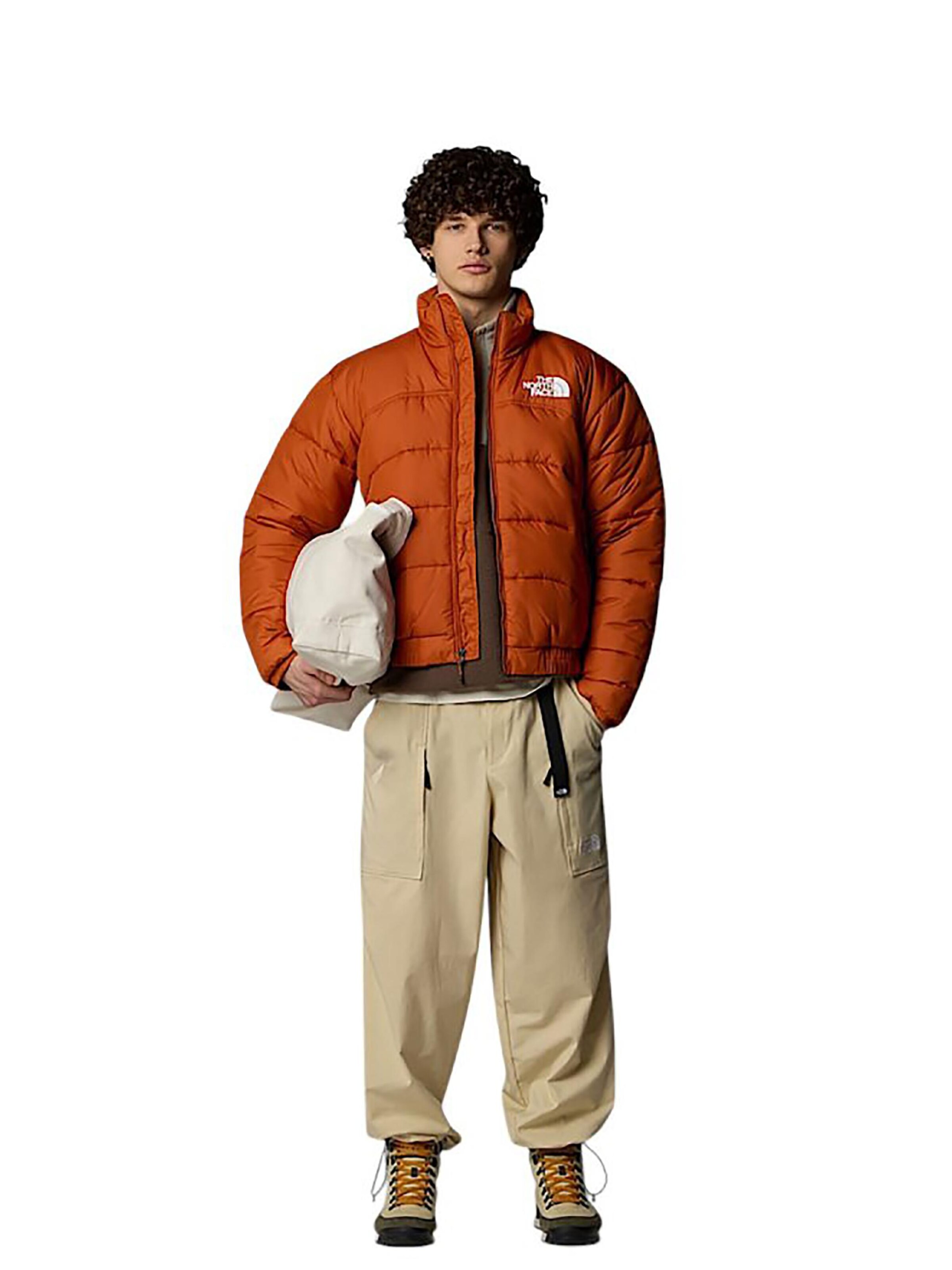 THE NORTH FACE Winter Jacket 'Summit Puffer 2000' in Brown