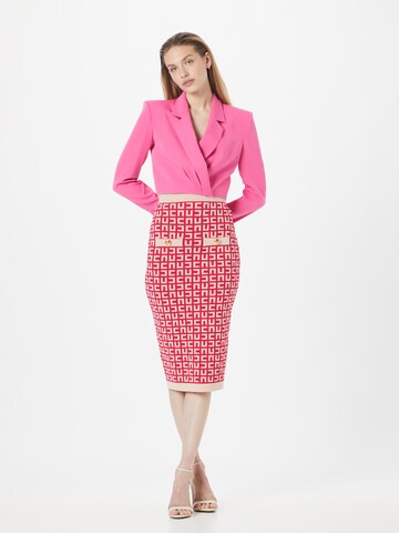Elisabetta Franchi Skirt in Pink