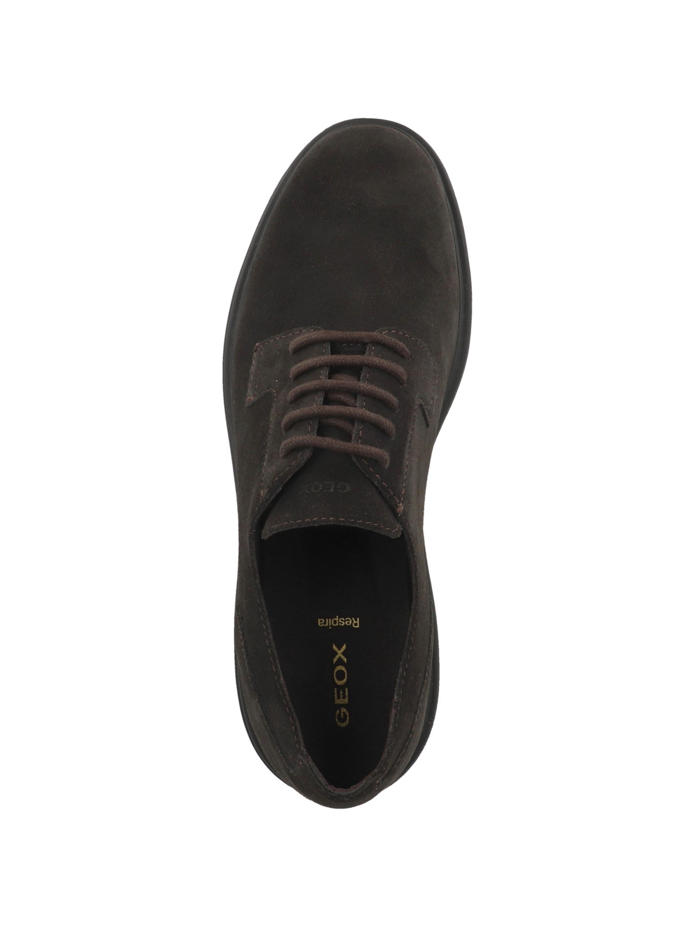 Chaussure à lacets 'U Ottavio D' GEOX en marron