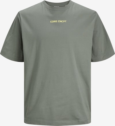 JACK & JONES Koszulka 'Stagger' w kolorze oliwkowy / pastelowy zielony / czarny / białym, Podgląd produktu