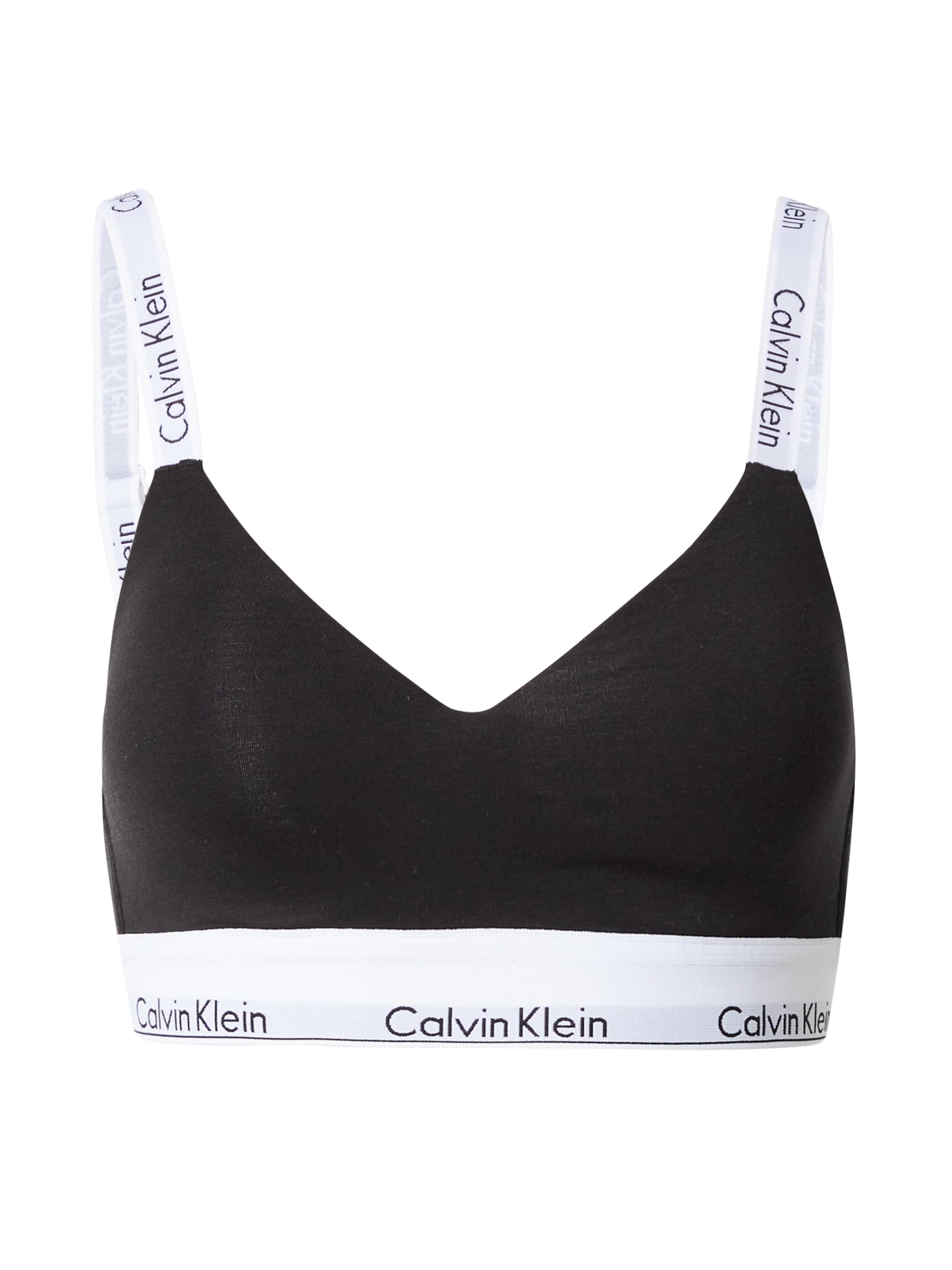 bustino calvin klein