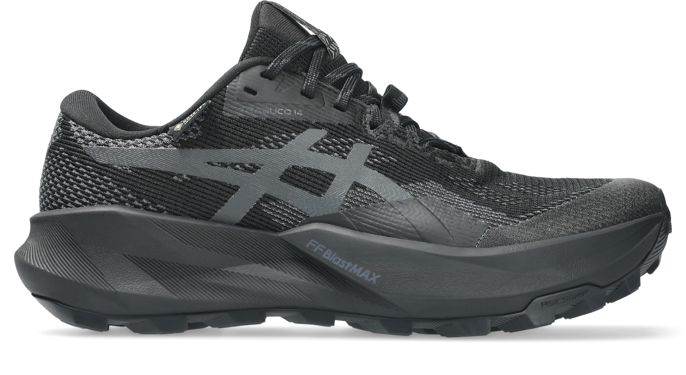 ASICS Laufschuh in Grau