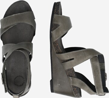 Ca'Shott Sandals in Grey