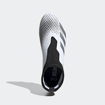 ADIDAS PERFORMANCE Soccer shoe 'Predator 20.3' in White