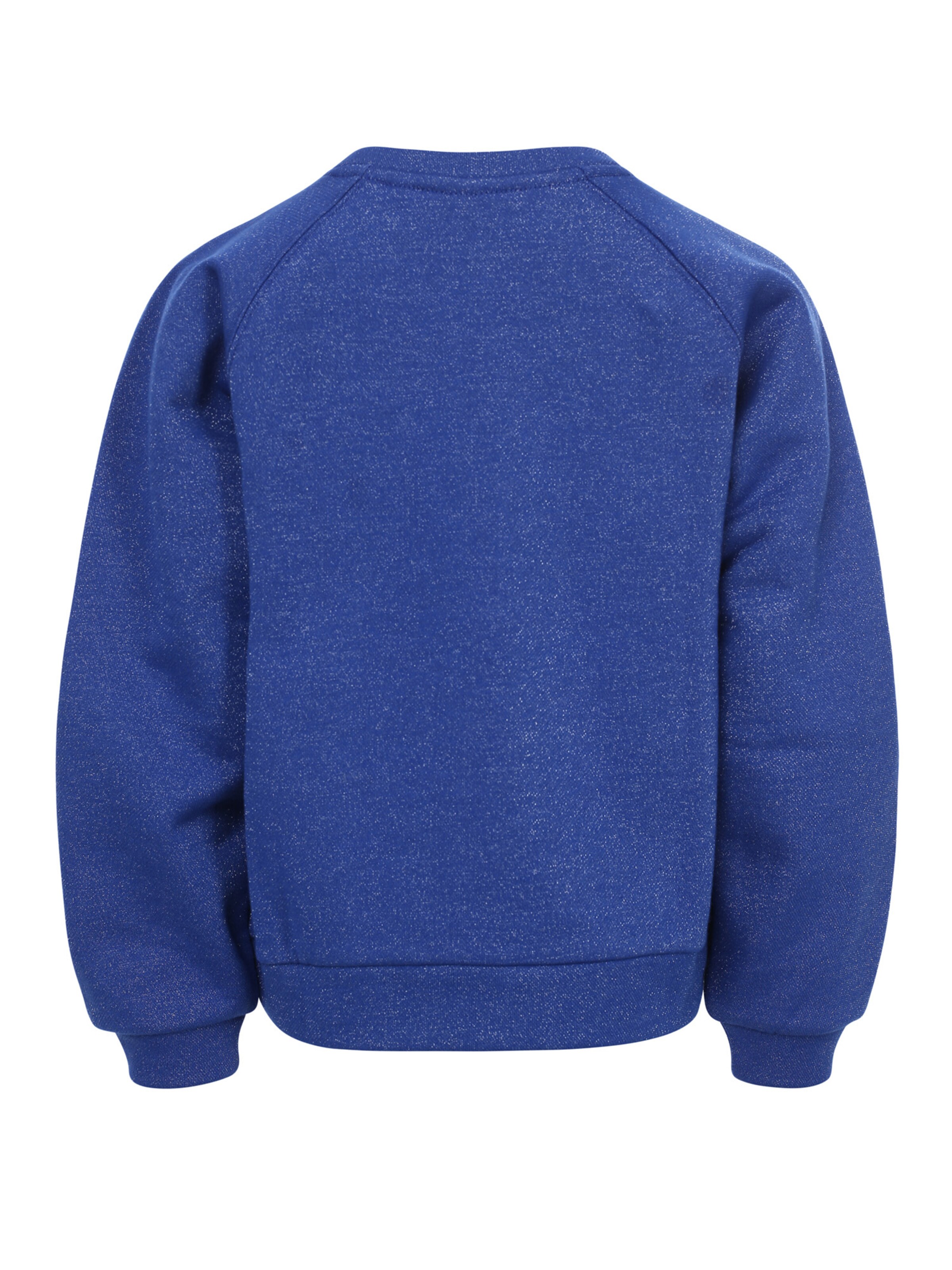 Looxs Revolution Sweatshirt in Blauw