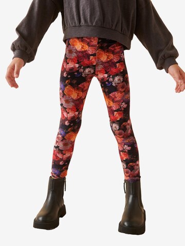 Skinny Leggings Next en mélange de couleurs : devant