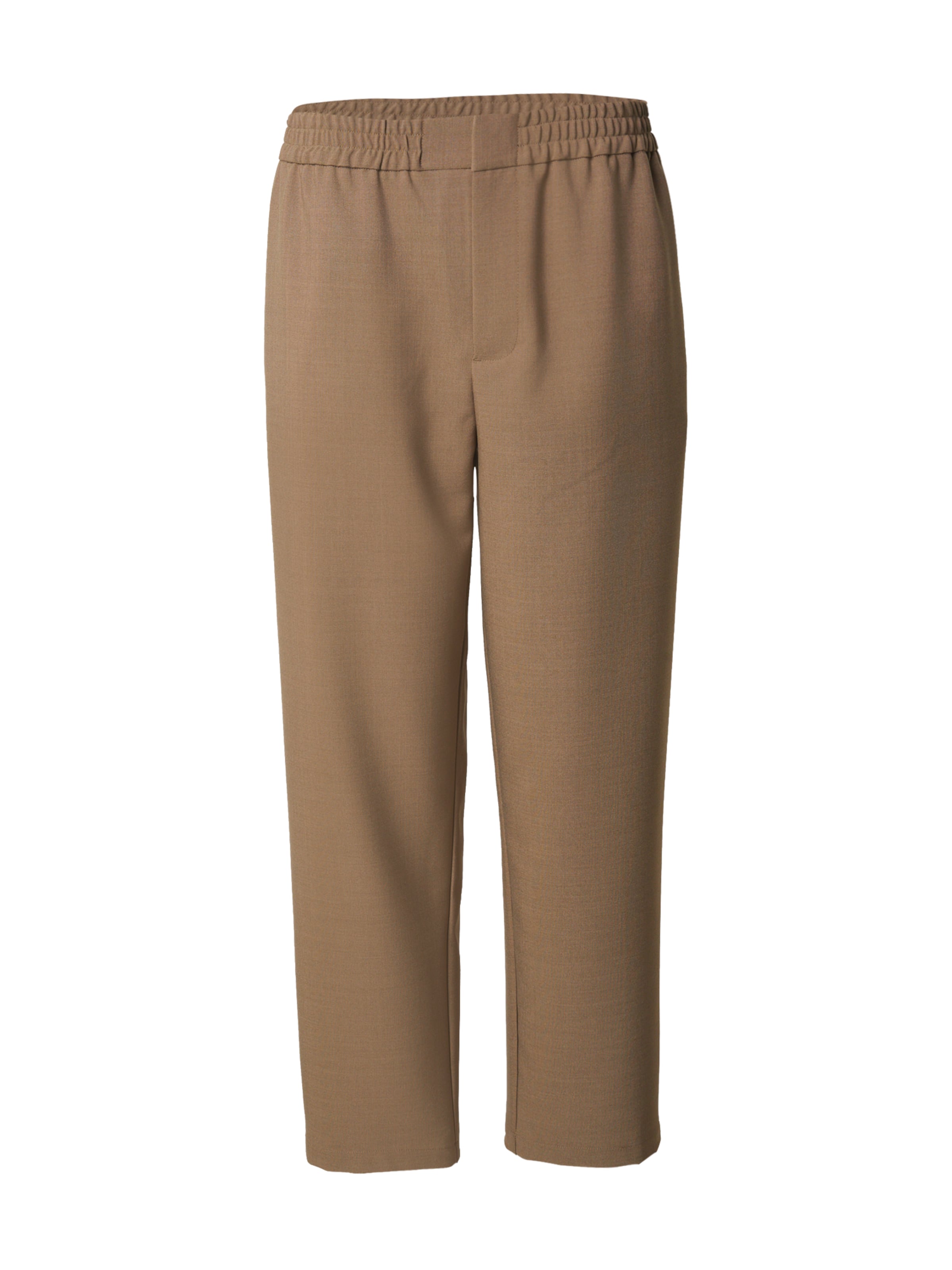 Regular Pantalon &#x27;Gregor&#x27; DAN FOX APPAREL en marron : devant