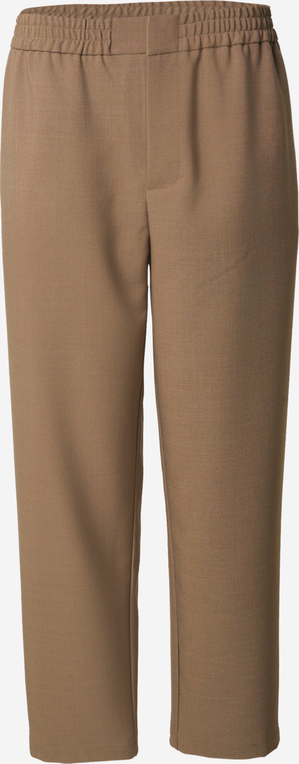 DAN FOX APPAREL Regular Pantaloni 'Gregor'