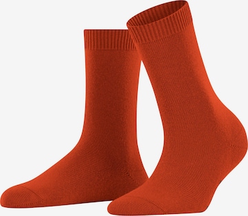 FALKE Socken 'Cosy Wool' in Rot: Vorderseite