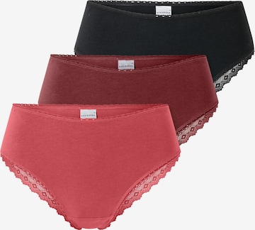 SCHIESSER Slip in Mixed colours: front