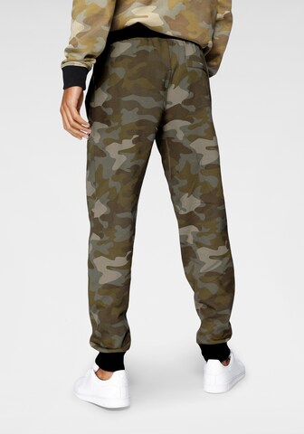 Bruno Banani Tapered Jogginghose in Grün