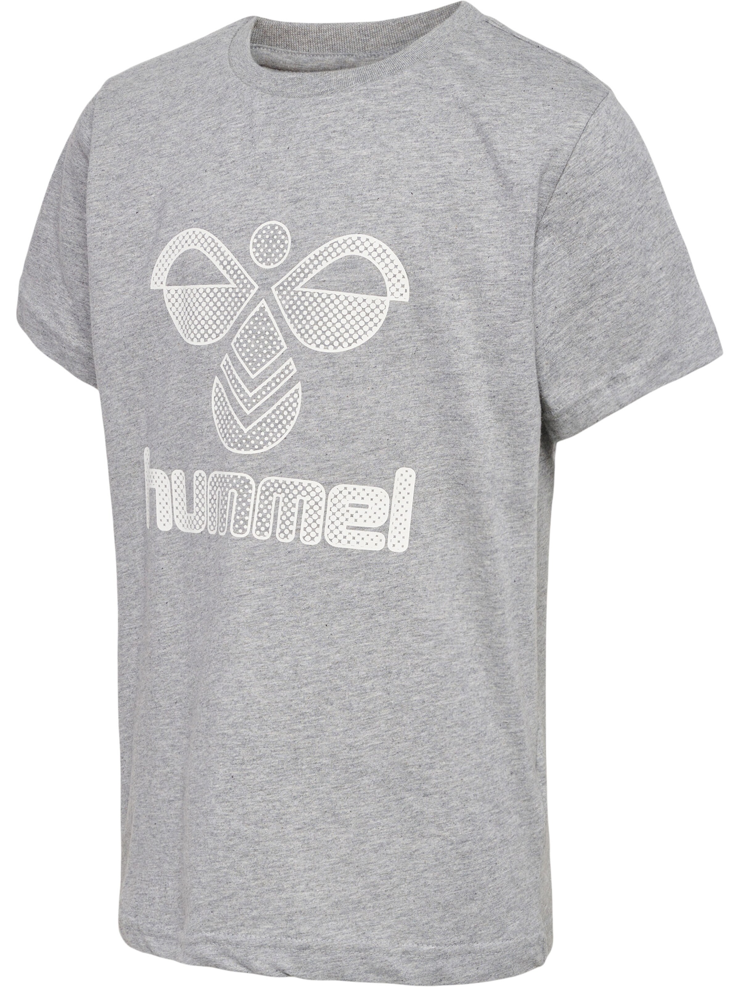 Hummel Funktionsshirt 'PROUD' in Grau