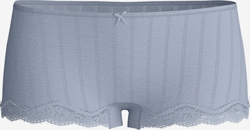 CALIDA Boyshorts 'Etude Toujours' in Blue: front