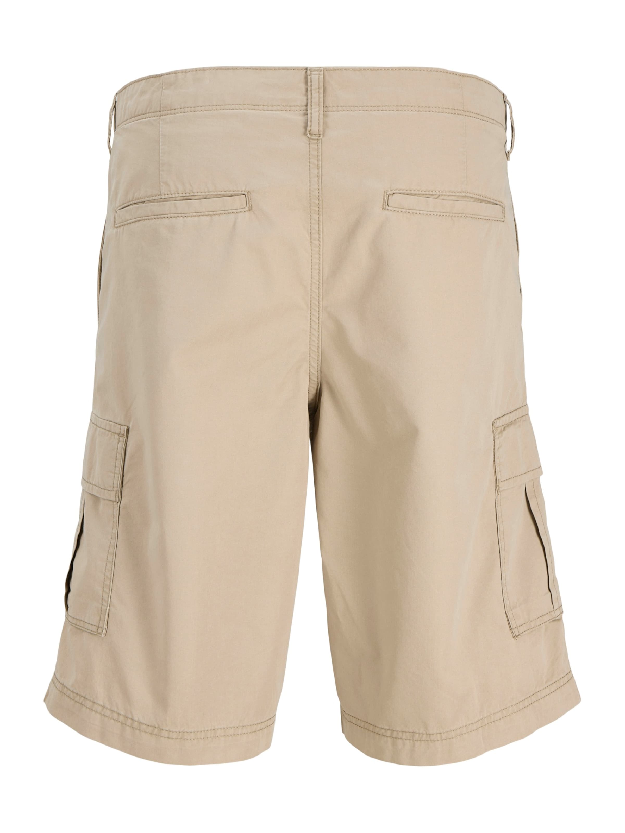 Loosefit Pantalon cargo 'JREBCORY' JJ Rebel en marron