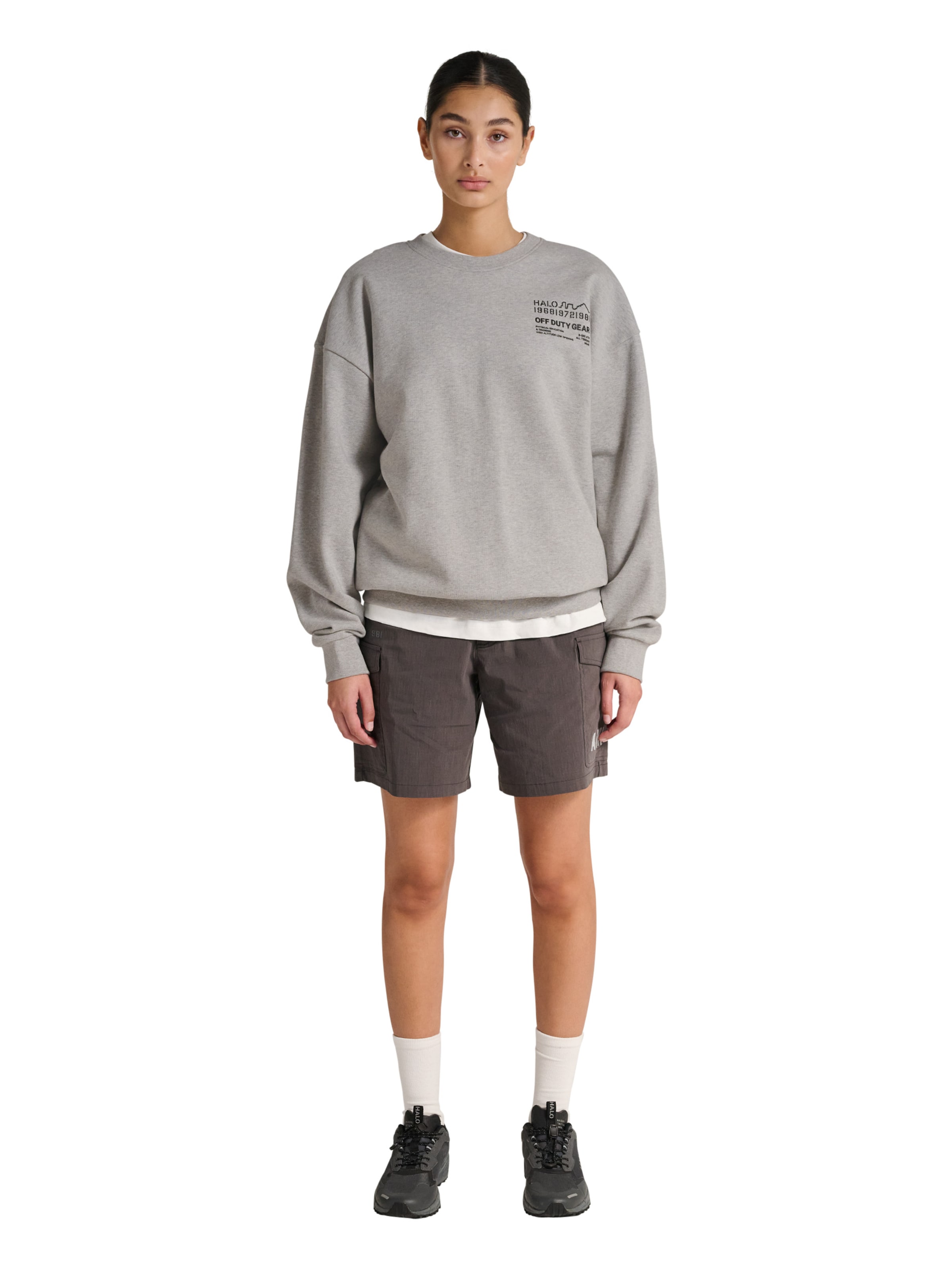 HALO Sweatshirt in Grau