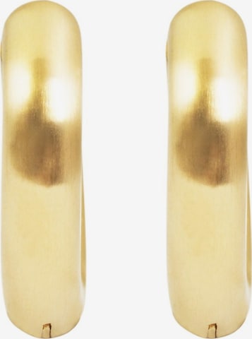 Akzent Earrings 'Salita, langlebig' in Gold: front
