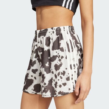 Loosefit Pantalon ADIDAS ORIGINALS en gris