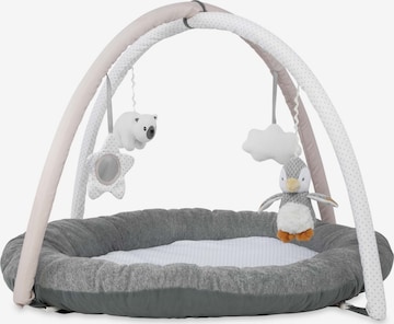 Nuby Interaktive Spielmatte in Grau: Vorderseite