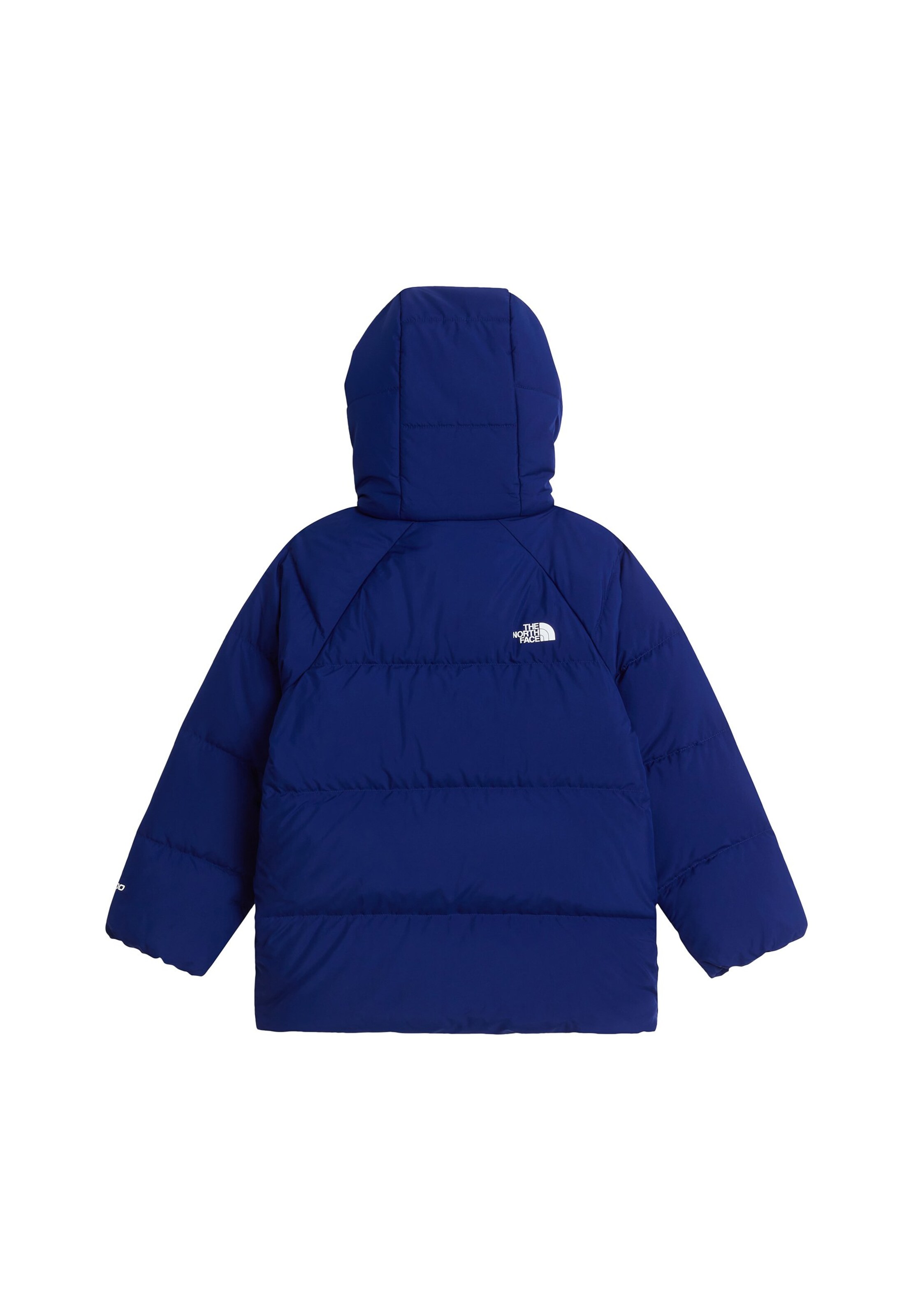 THE NORTH FACE Куртка в спортивном стиле в Синий