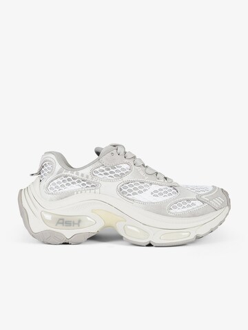 Sneaker bassa 'Dragon 01' di ASH in grigio