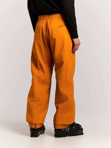 PROTEST Regular Sports trousers 'PRTLuton' in Brown