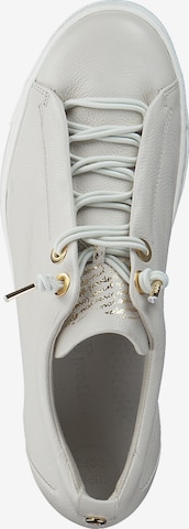 Paul Green Sneakers in White