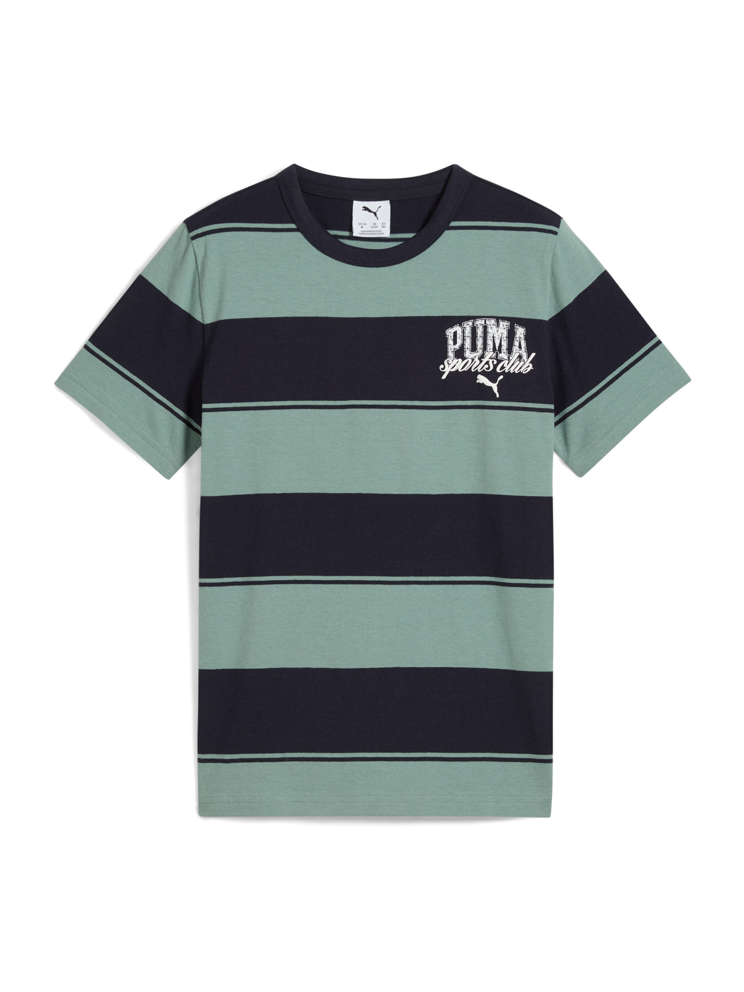 PUMA Koszulka 'Class' w kolorze zielony: przód