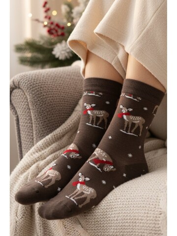 Sokisahtel Sokken 'BAMBY merino wool socks' in Bruin: voorkant