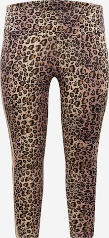 ADIDAS ORIGINALS - Leggings em castanho: frente