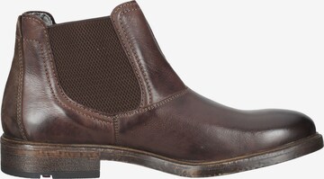 LLOYD Chelsea boots in Bruin