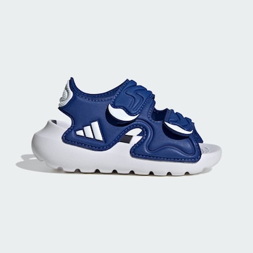Chaussures ouvertes 'Altaswim' ADIDAS SPORTSWEAR en bleu