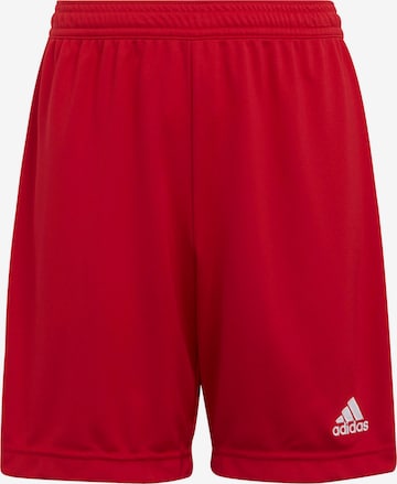 ADIDAS PERFORMANCE Regular Workout Pants 'Entrada22' in Red: front